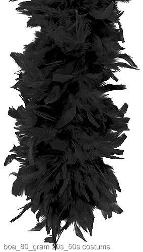 Black 80 Gram Feather Boa