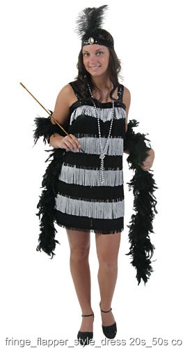 Fringe Style Flapper Dress