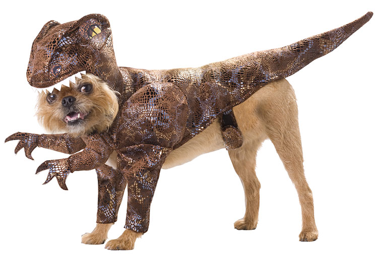 Raptor Dog Costume