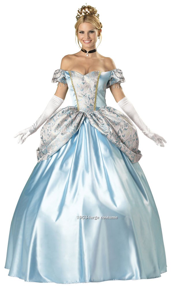 Adult Super Deluxe Enchanting Princess Cinderella Costume