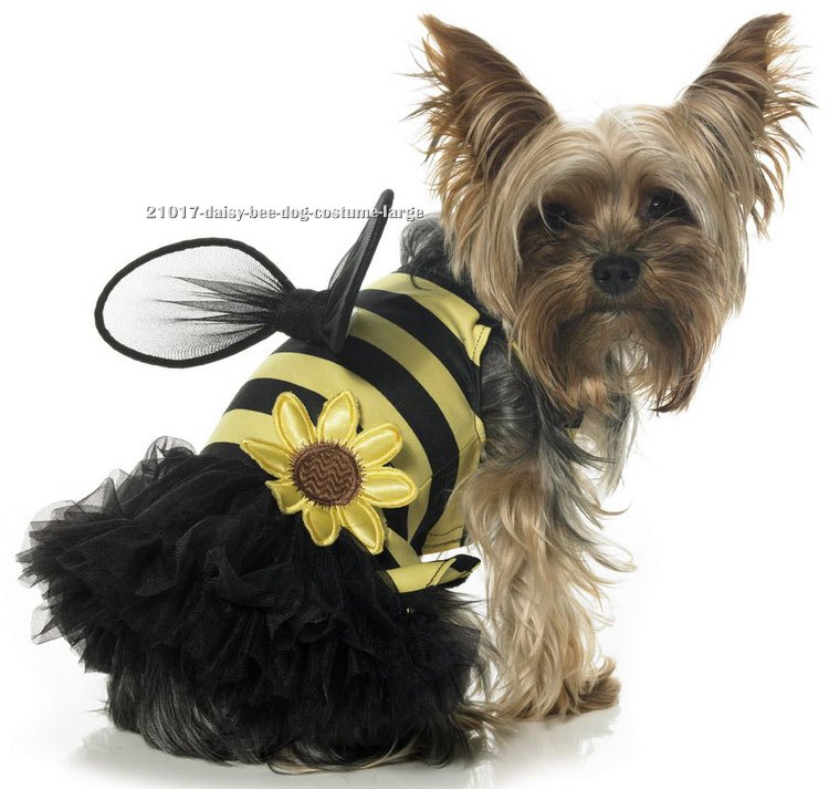 Daisy Bee Dog Costume