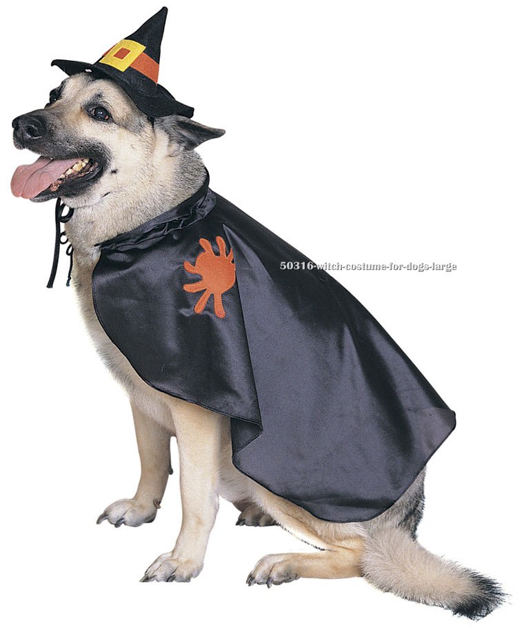 Witch Costume for Dogs