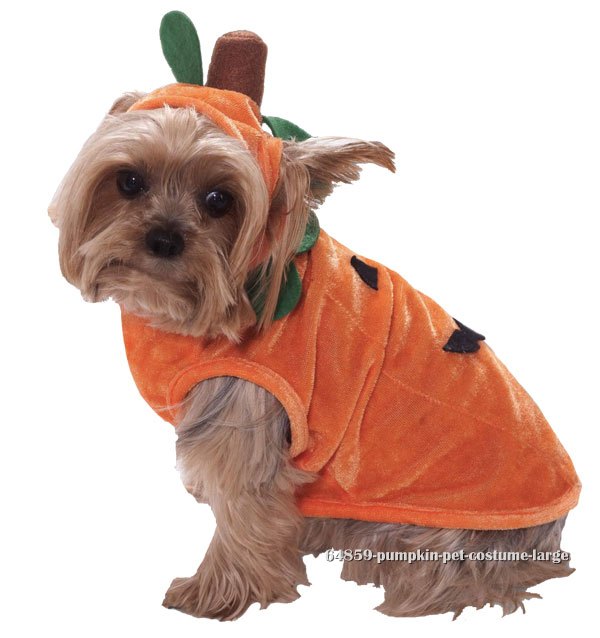 Pumpkin Pet Costume