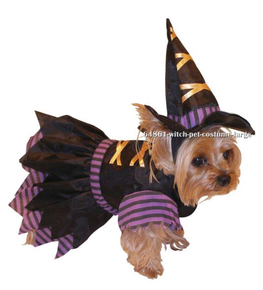 Witch Pet Costume