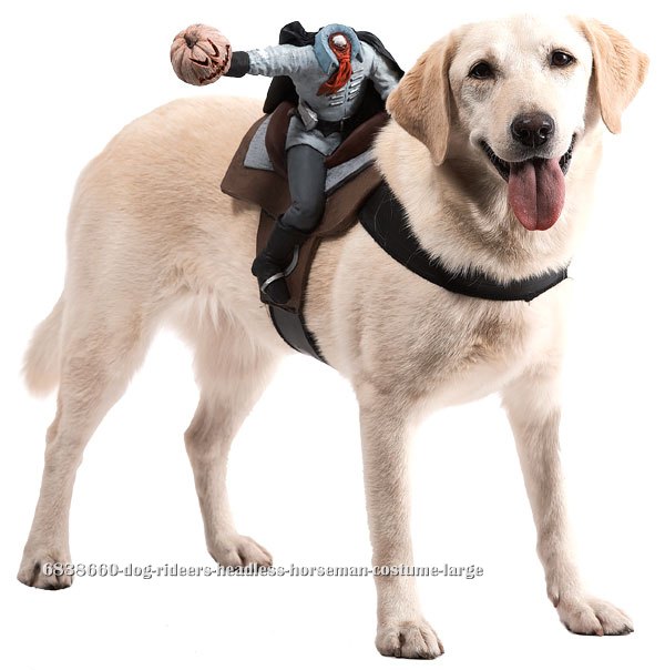 Dog Riders Headless Horseman Costume