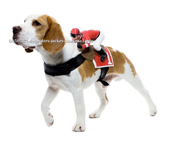 Dog Riders Jockey Costume