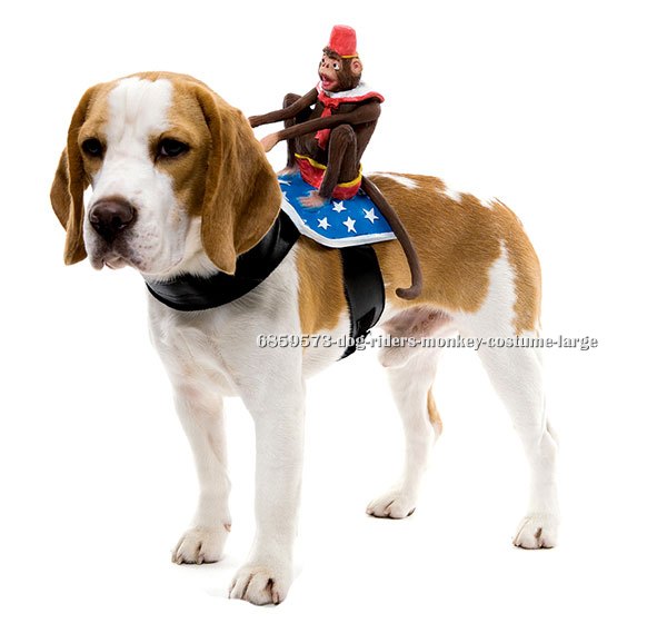 Dog Riders Monkey Costume