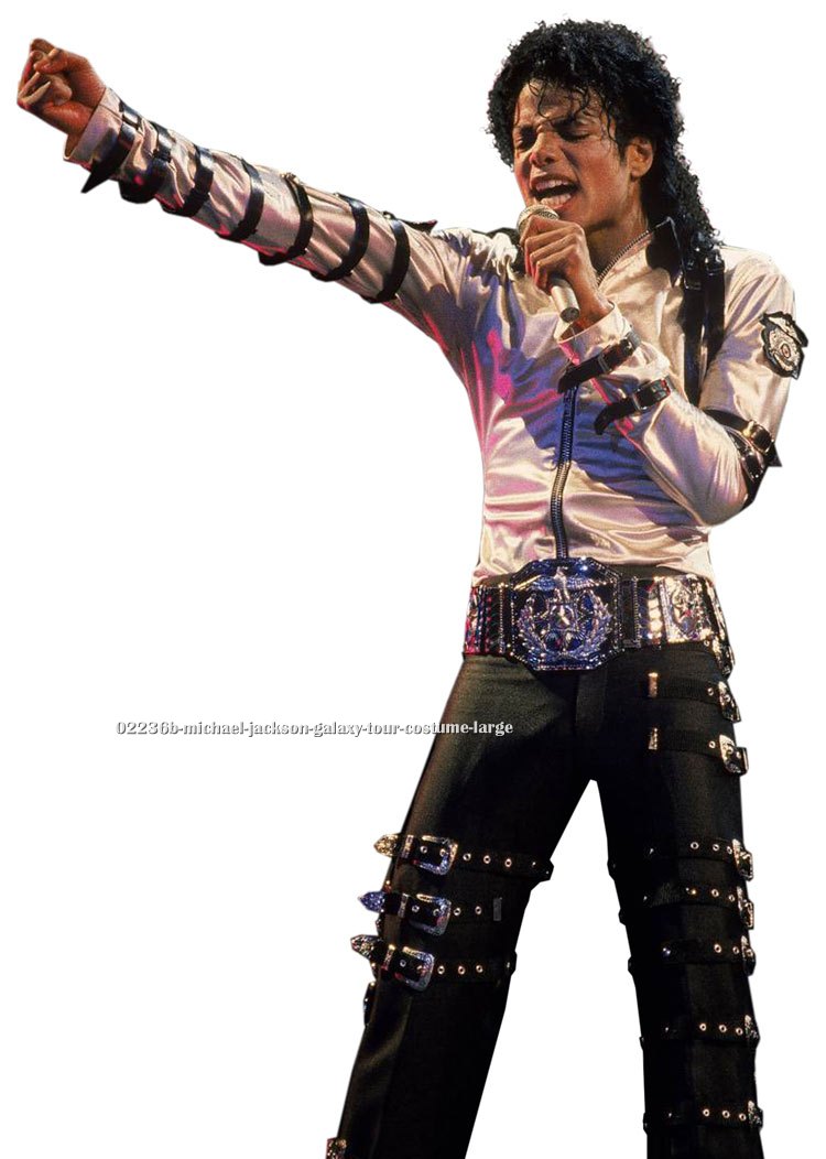 Michael Jackson Galaxy Tour Costume