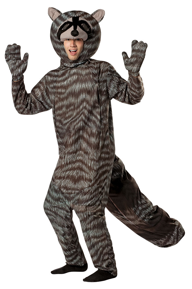 Raccoon Costume