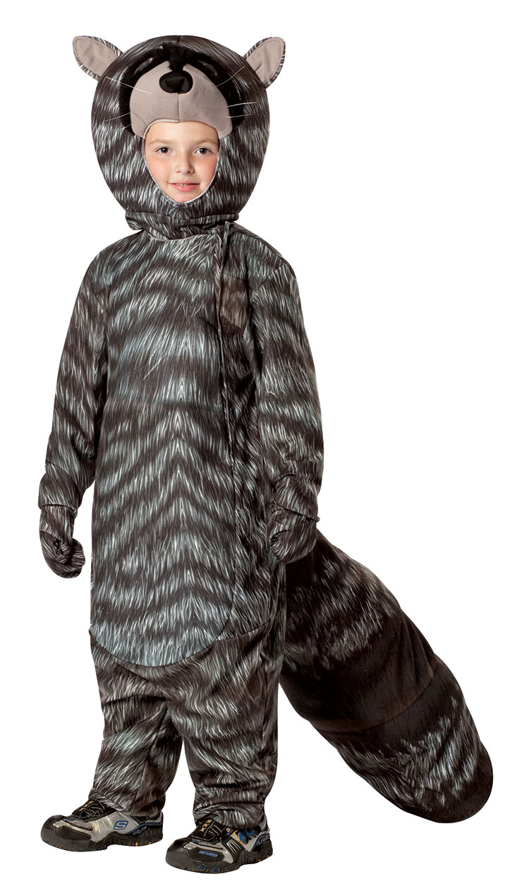 Raccoon Costume For Kids