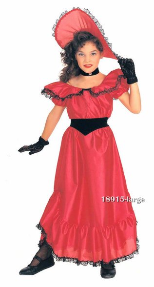 Southern Belle Dress Costume