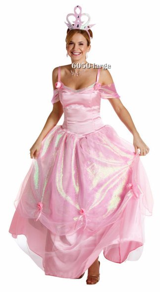 Adult Princess Ball Gown Costume