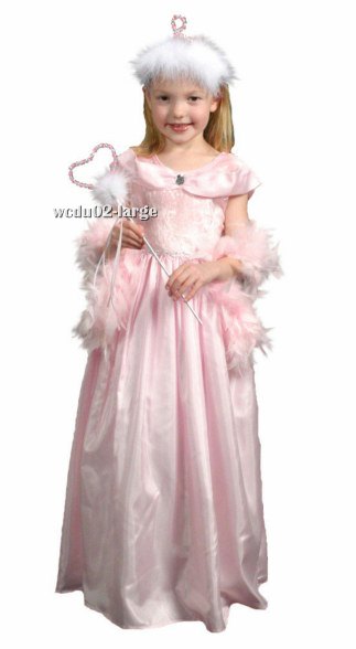 Complete Classic Sleeping Beauty Costume