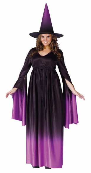 Plus Size Magical Witch Costume