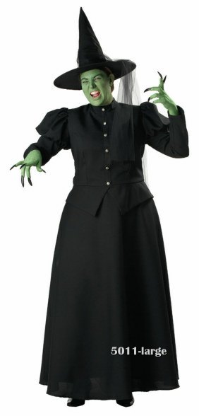 Adult Plus Size Premier Wicked Witch Costume