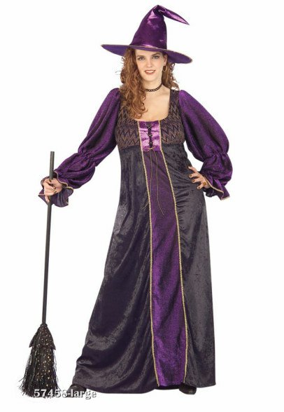 Hokus Pocus Plus Size Witch Costume