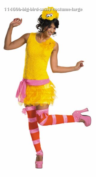 Sassy Big Bird Costume