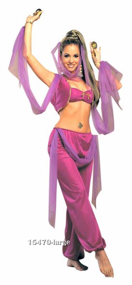 Sexy Arabian Princess Belly Dancer Costume