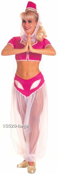 Adult I Dream of Jeannie Costume