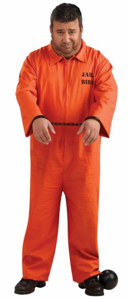 Plus Size Prisoner Costume