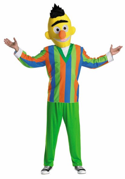 Teen and Adult Deluxe Sesame Street Bert Costume