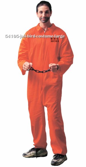 Jail Bird Costume