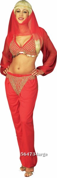 Adult Gold or Silver Jewelry Belly Dancer Panty