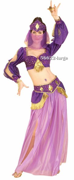 Adult Dance of the Seven Veils Belly Dancer Costume