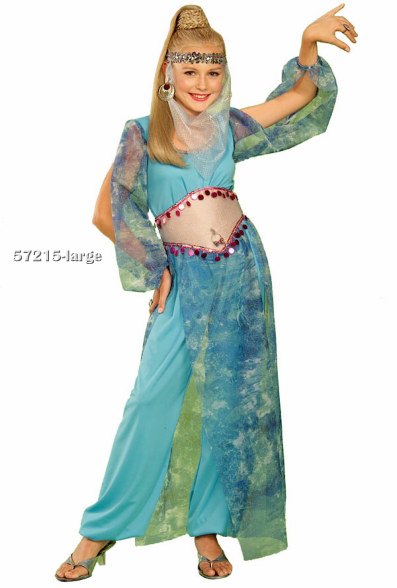 Teen Harem Girl Costume