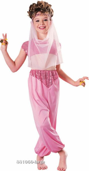 Girls Harem or Belly Dancer Costume