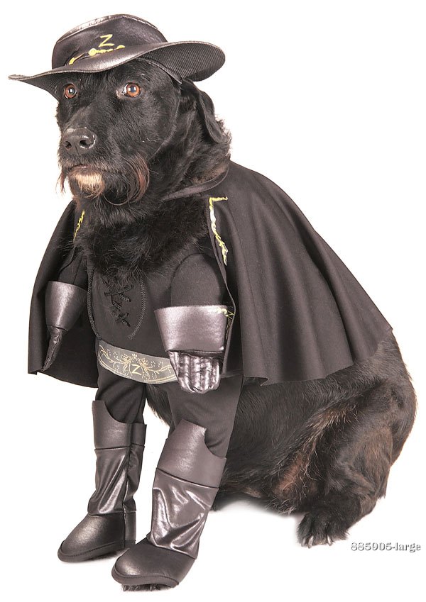 Zorro Dog Costume