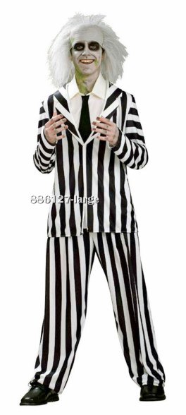 Teen Beetlejuice Costume