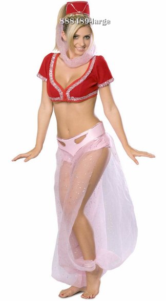 I Dream of Jeannie Adult Costume