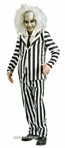 Adult Beetlejuice Costume