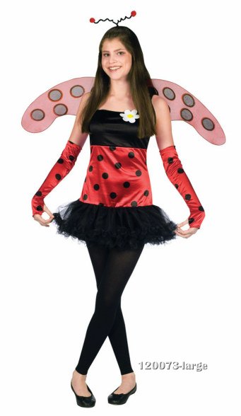 Teen Lovely Ladybug Costume