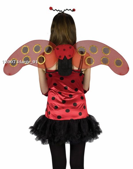 Teen Lovely Ladybug Costume