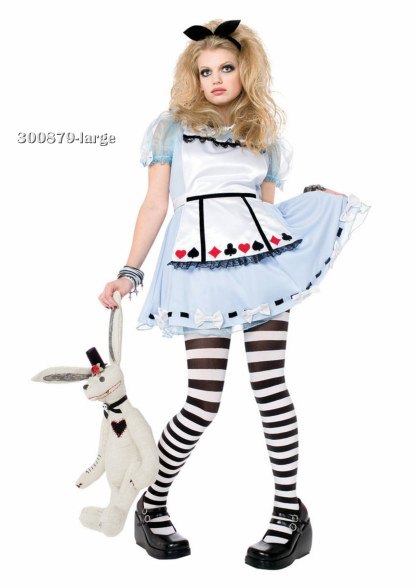 Teen Alice In Wonderland Costume