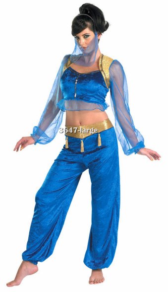 Teen or Adult Genie Costume