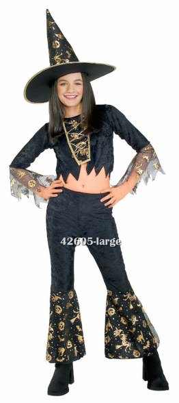 Shimmering Sorceress Teen Witch Costume