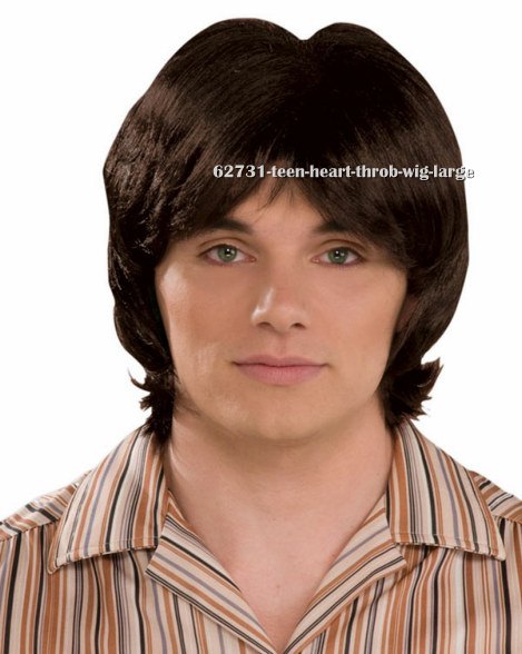 Teen Heart Throb Wig