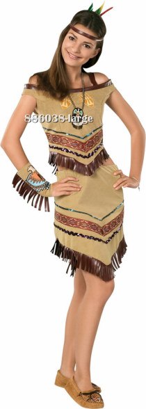 Teen Native Indian Princess Costume