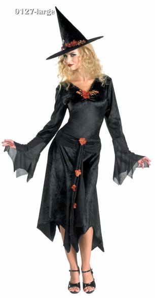 Teen or Adult Sienna Rose Witch Costume