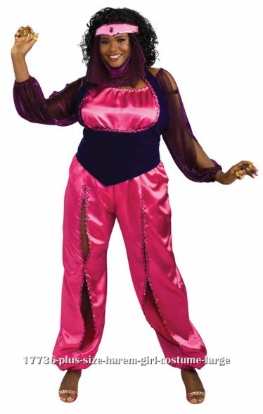 Plus Size Harem Girl Costume