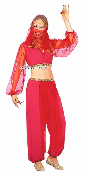 Sexy Red Harem Girl Costume