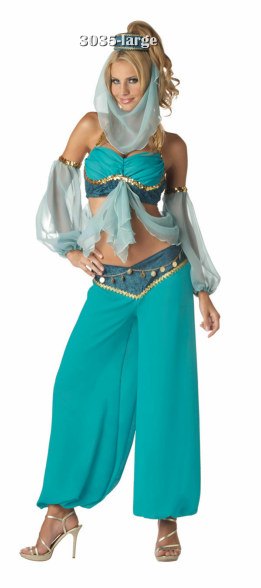 Super Deluxe Harem's Jewel Belly Dancer Costume