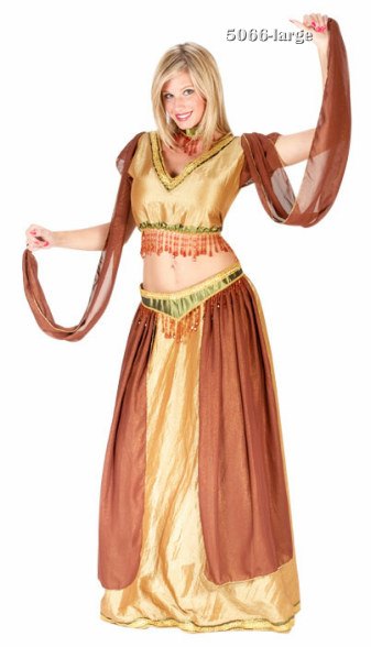 Adult Sexy Belly Dancer Costume