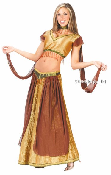 Adult Sexy Belly Dancer Costume