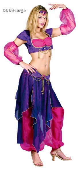 Adult Belly Dancer Costume