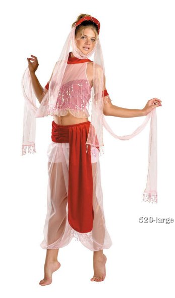 Adult Enchanted Genie Costume