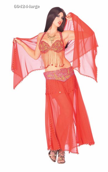 Deluxe Sexy Red Harem Dancer Costume